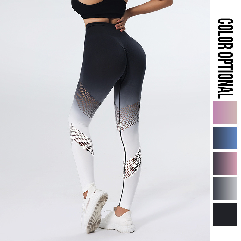 gym pants manufacturers